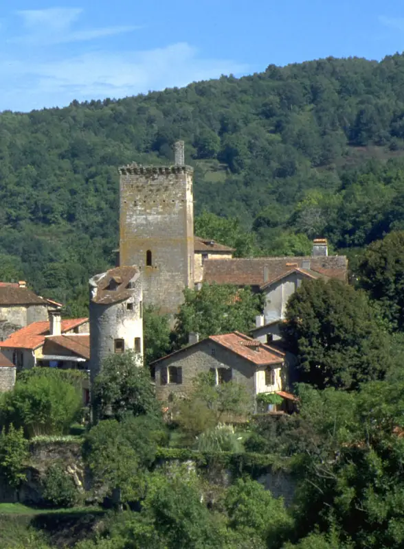 Vestiges du Fort Médiéval