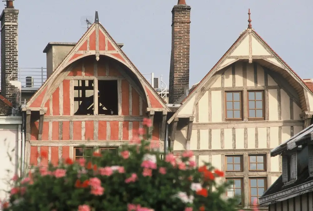 La belle aux bois dormants