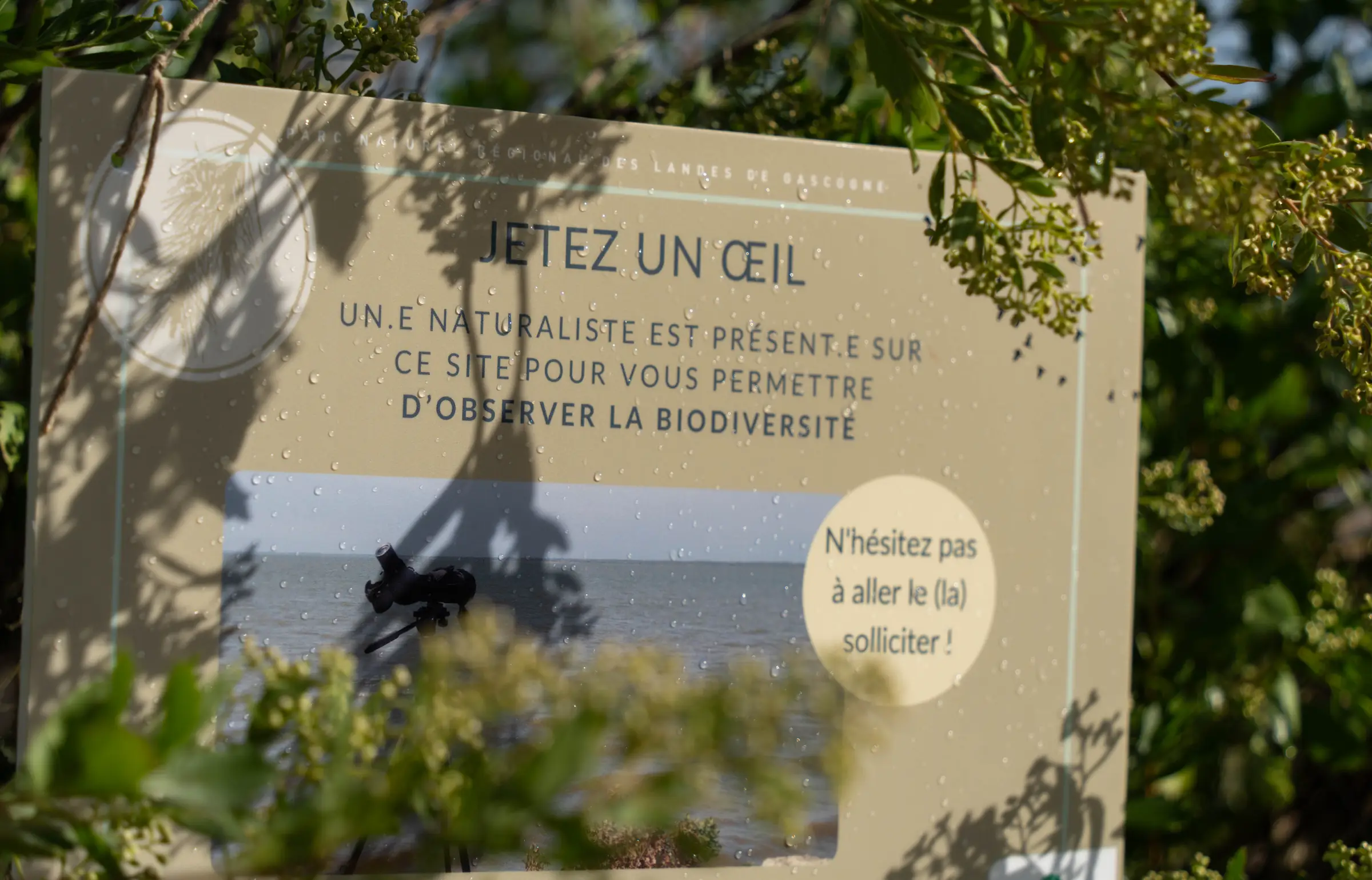 Accueil naturaliste sur le sentier du littoral à la Pointe du Teich