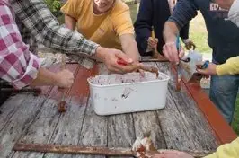 Atelier pigments naturels et exploration en Brenne !