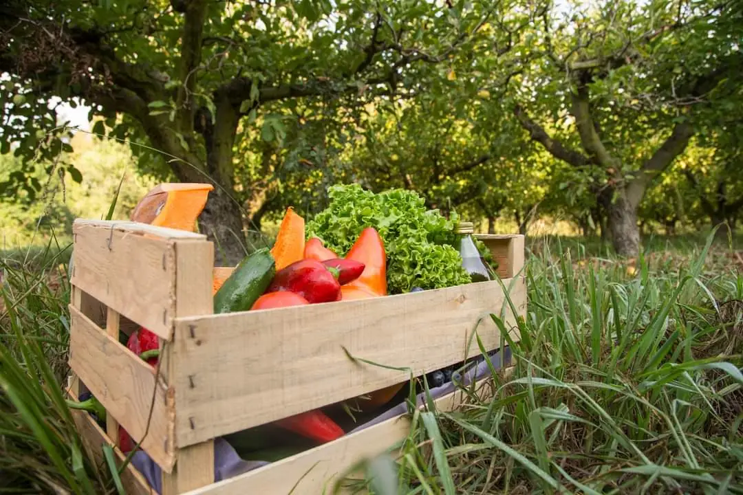 Marché des producteurs et artisans locaux d'Entressen