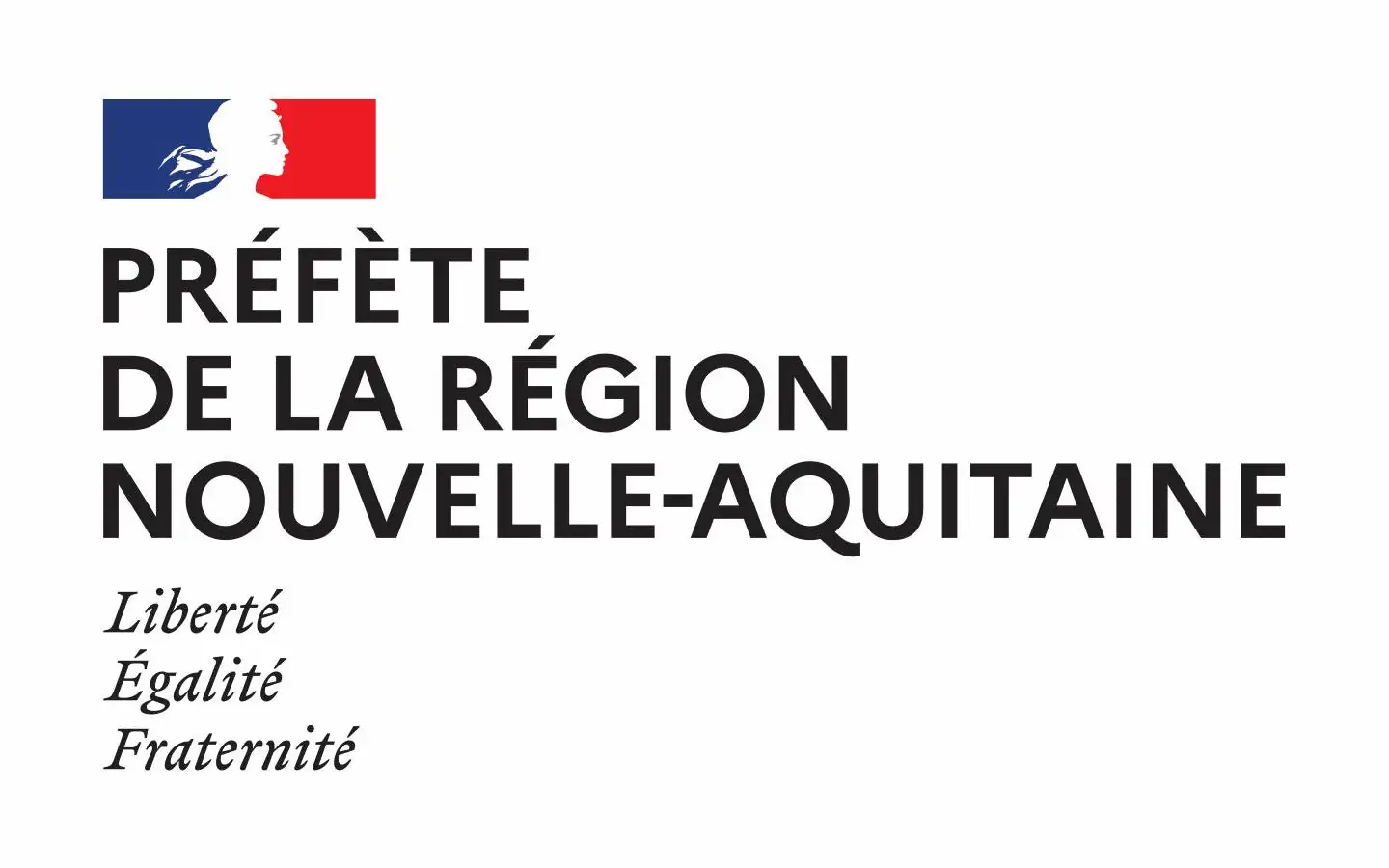 Atelier Kapla en famille : Les jeux de construction, tout un chantier !