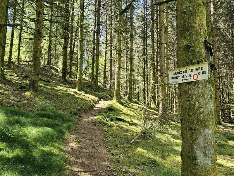 Croix de Couard