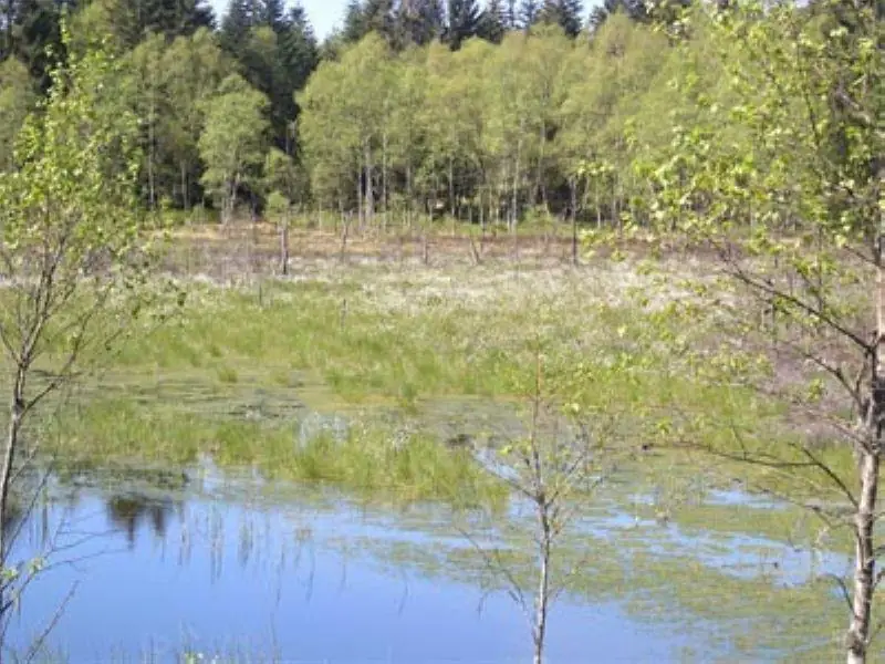 Le Conservatoire d'Espaces Naturels de Lorraine