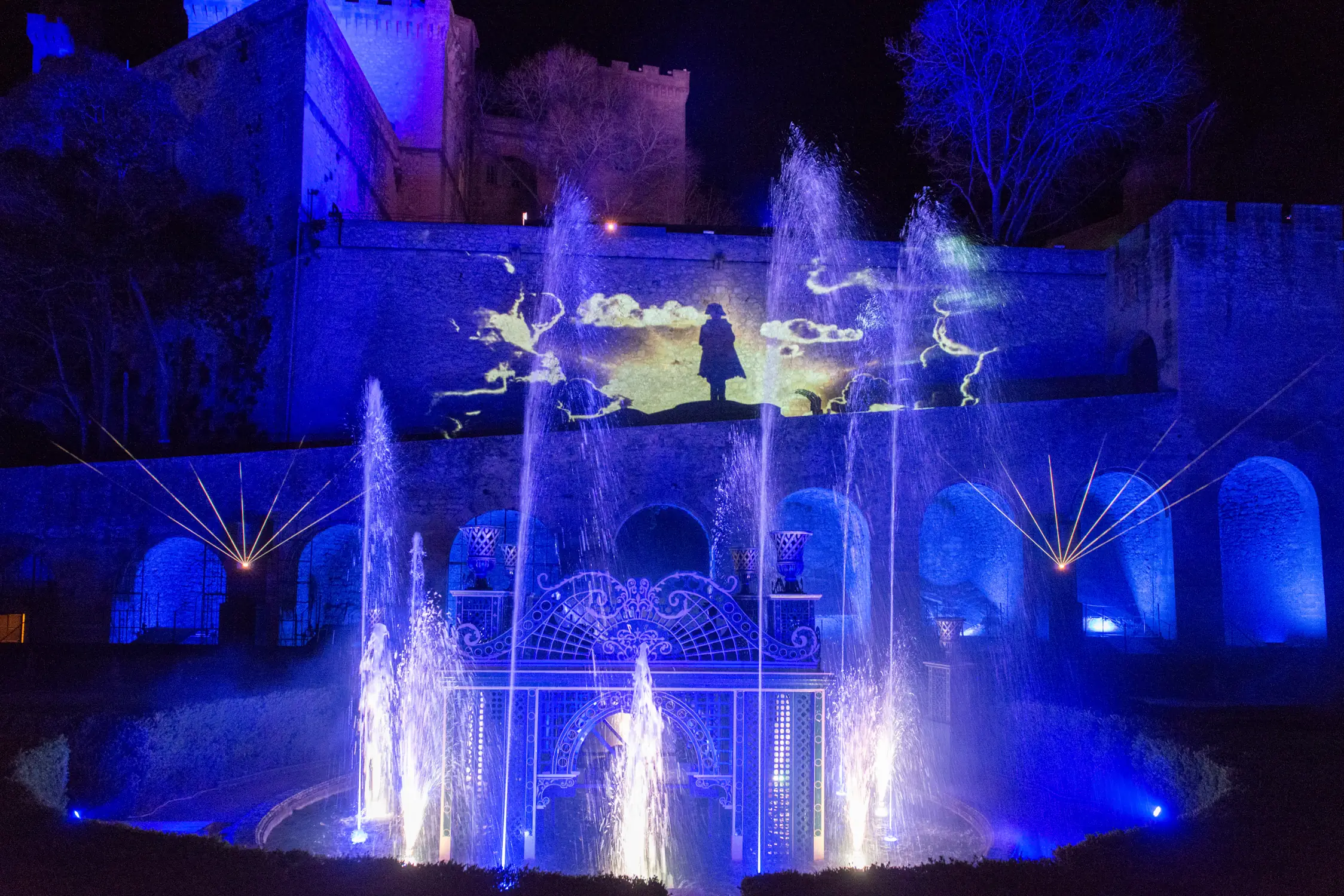 Napoléon : l'aigle et la muse - Son et Lumière au Rocher Mistral