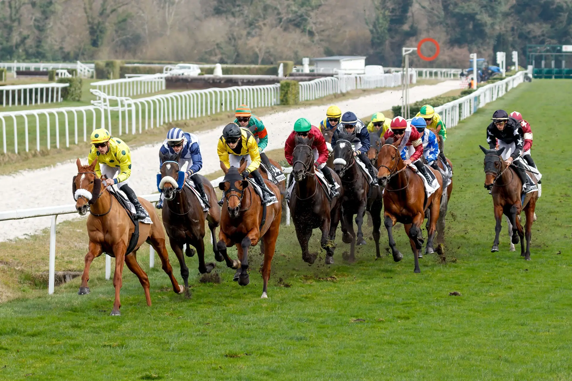 Courses hippiques