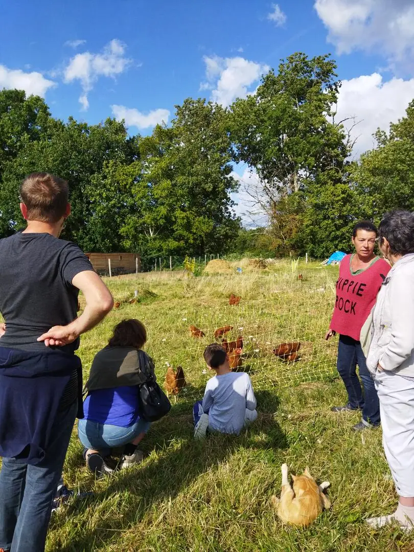 Accueil à la Ferme : Moulin à Huile de Noix , Potager et Poules pondeuses en Ribéracois