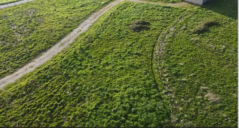 Visites Estivales 2026 - À la découverte de la forêt de Gaïa - Neuvy-Bouin