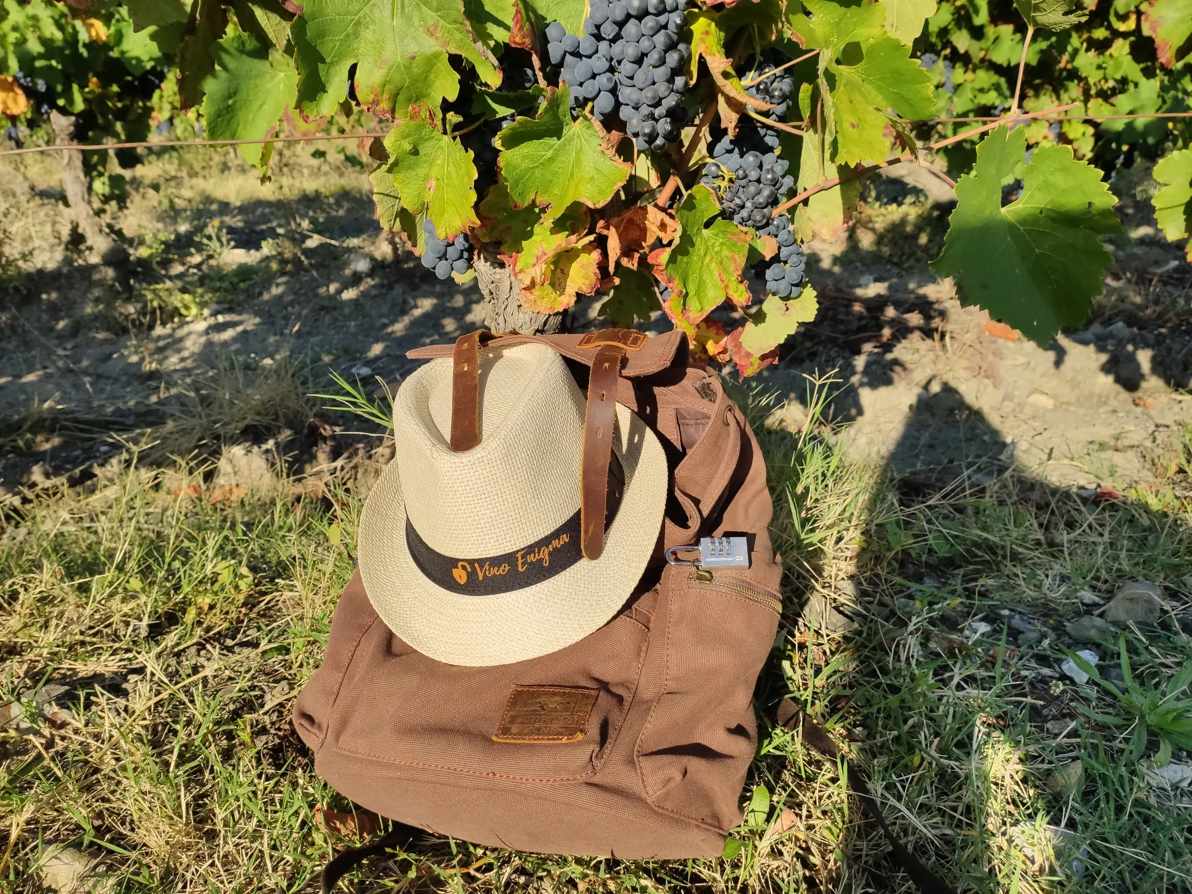 VIGNERON D'UN JOUR - VINO ENIGMA