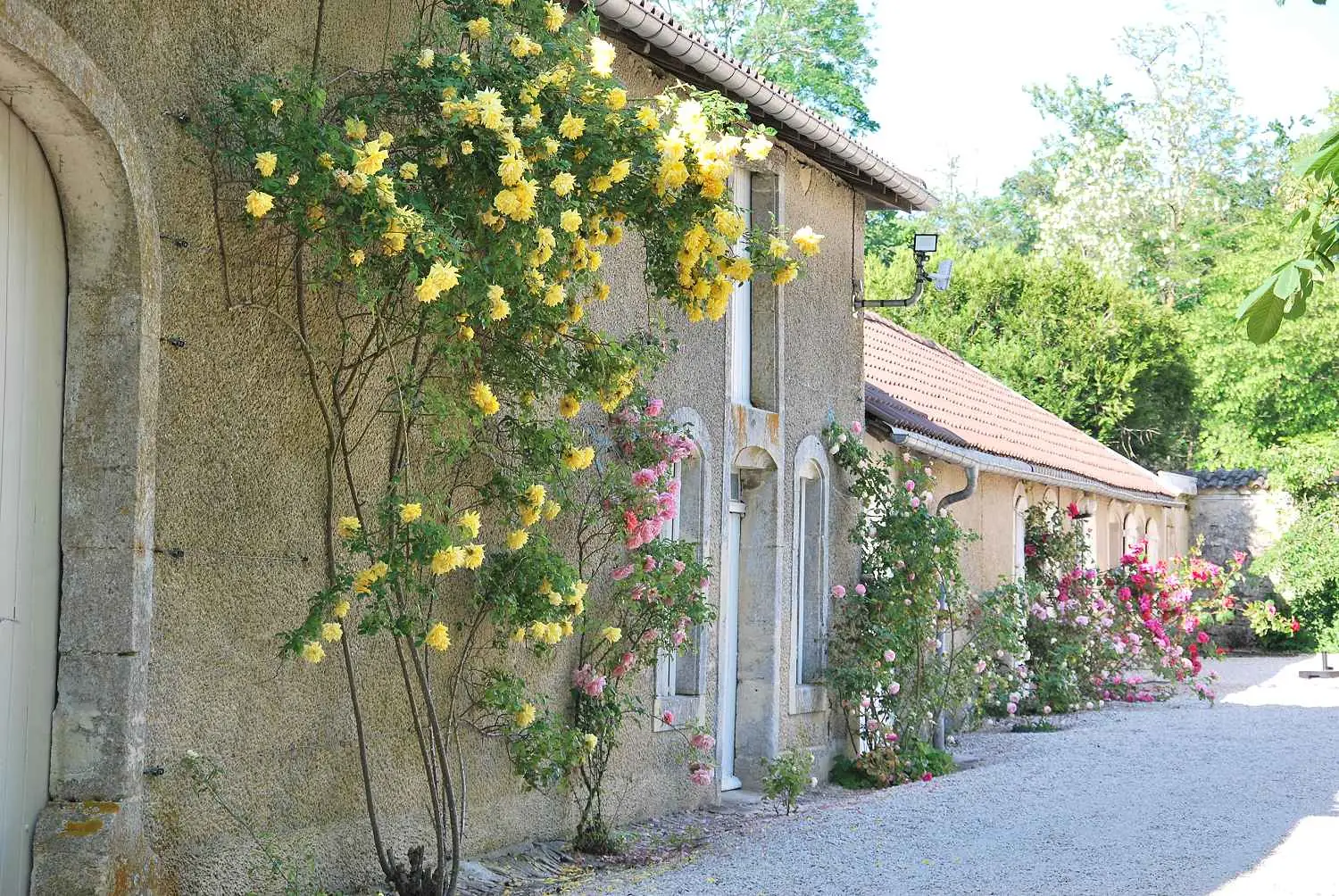 CHATEAU DE BROUTHIERES