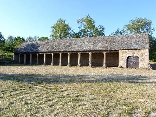 Château des Bourines (groupes)