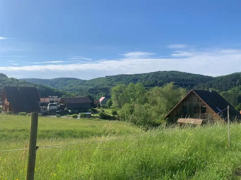 Steige