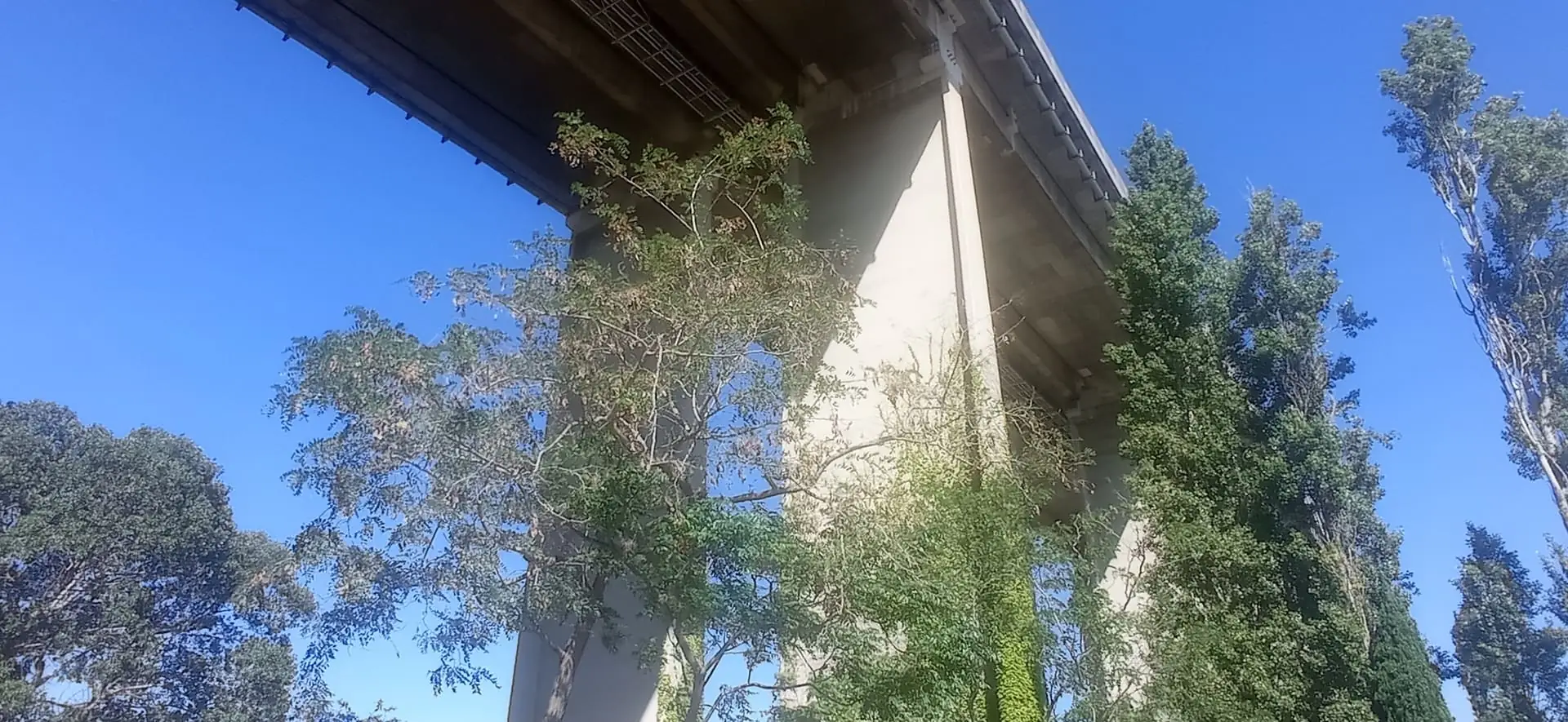 Viaduc autoroutier de Martigues