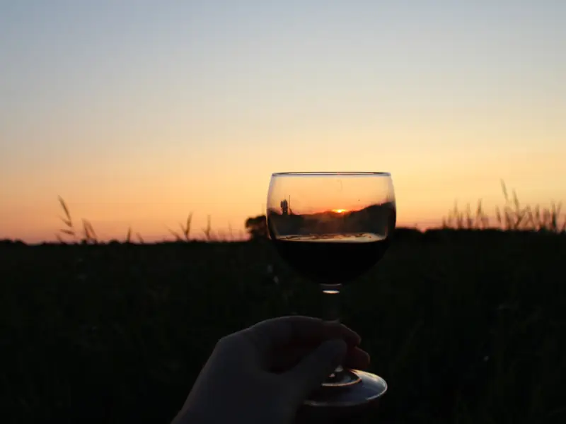 Apéro nature nocturne à Terres d'Oiseaux