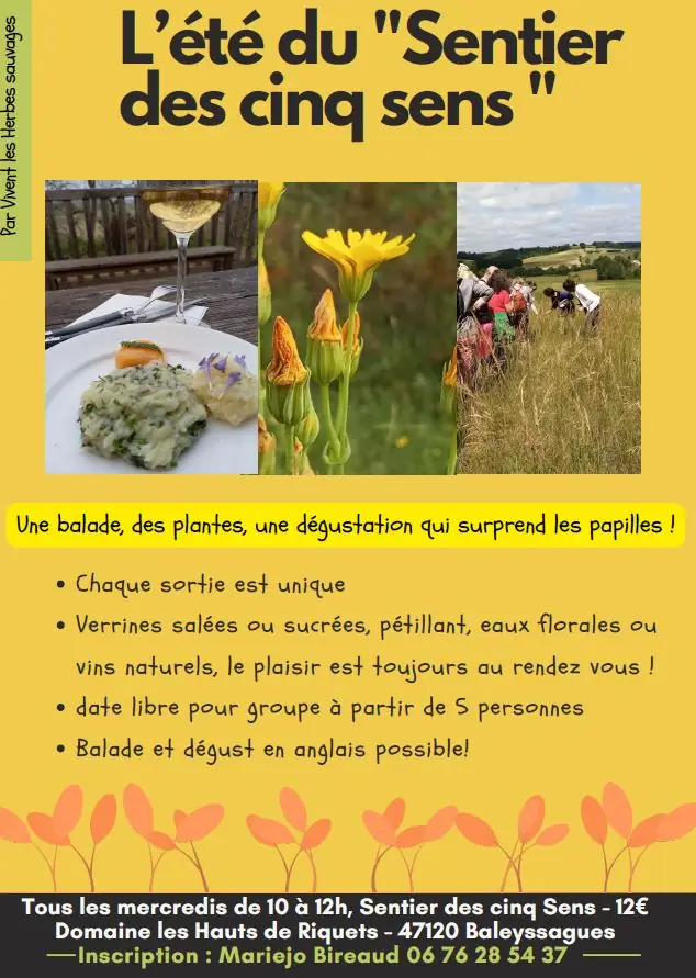 Le sentier des 5 sens au Domaine Les Hauts de Riquets balade gourmande