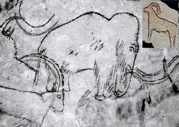 Atelier des p'tits curieux "Art Magdalénien "