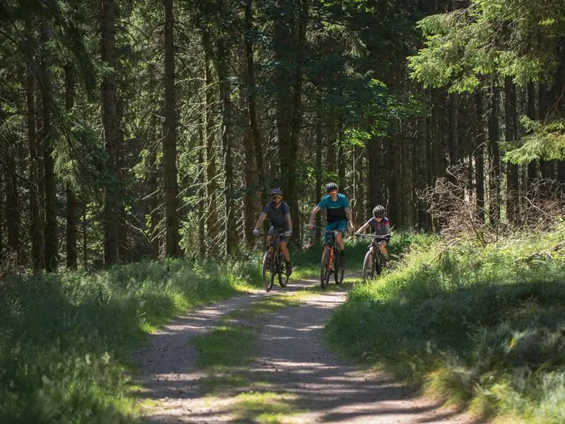 Stage VTT - Les biclous tout terrain 8 - 9 ans