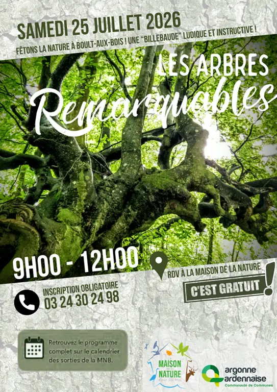 Les arbres remarquables