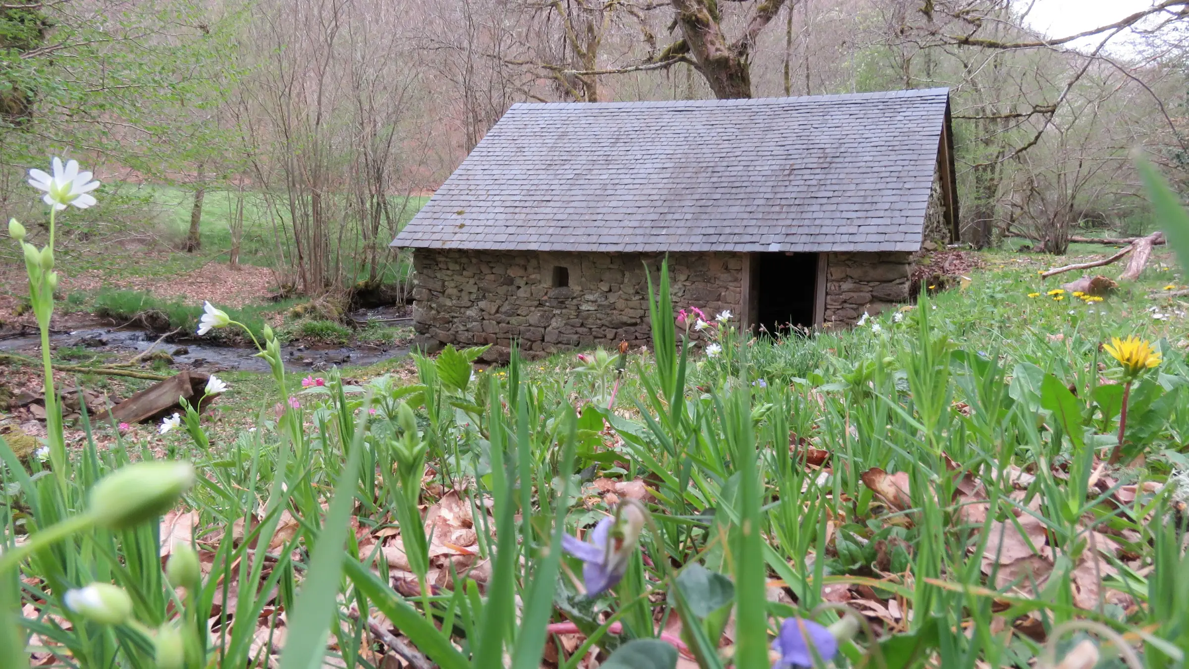 Le moulin de Louzelergue
