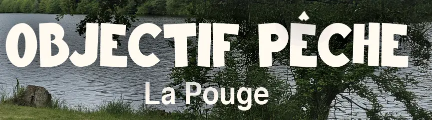 Pêche au coup, feeder et carpe sur l'étang de la Pouge