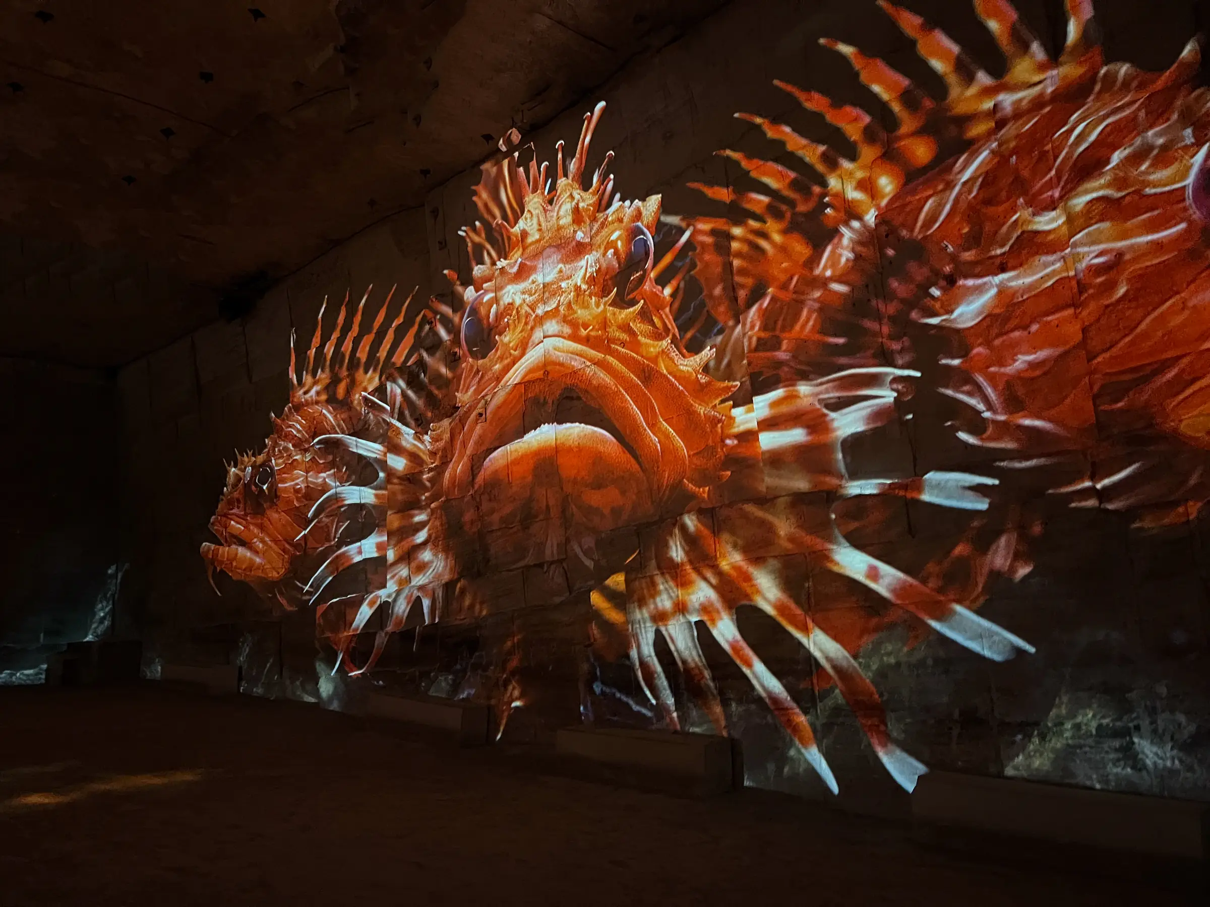Carrières-des-Lumières : Océan, immersion dans le monde sous-marin