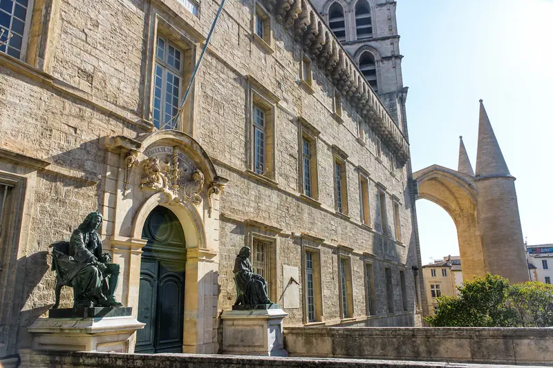 FACULTE DE MEDECINE